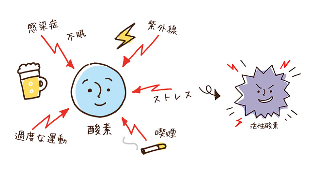 活性酸素の除去